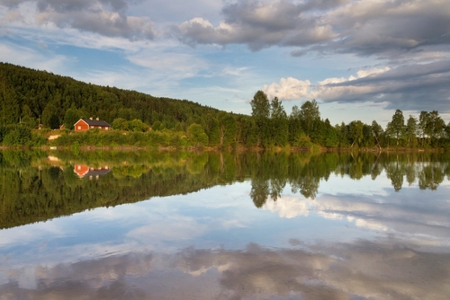 Varmland sjo och skog